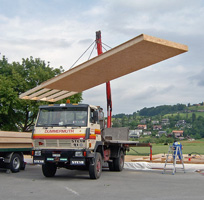 Dummermuth Peter Transporte Heiligenschwendi