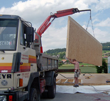Dummermuth Peter Transporte Heiligenschwendi