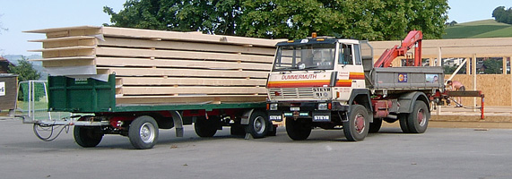 Dummermuth Peter Transporte Heiligenschwendi