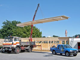 Dummermuth Peter Transporte Heiligenschwendi