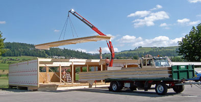 Dummermuth Peter Transporte Heiligenschwendi