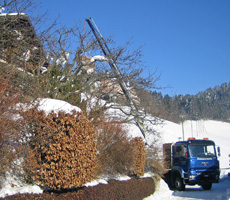 Dummermuth Peter Transporte Heiligenschwendi