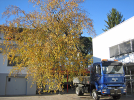 Dummermuth Peter Transporte Heiligenschwendi