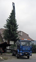 Dummermuth Peter Transporte Heiligenschwendi